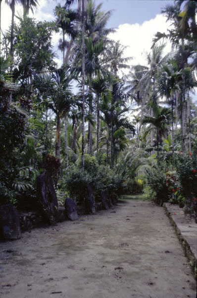 Village
