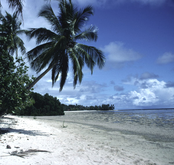 Kosrae