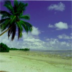KOSRAE_Beach