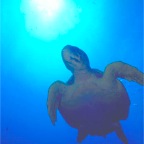 img0032