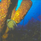 img0039