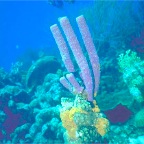img0009