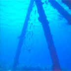 img0031