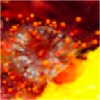S_OrangeBall_2000