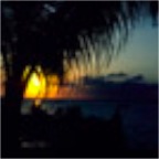 s_SunsetPalms