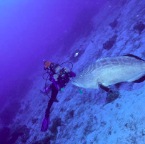Roxanneandgrouper
