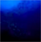 D11-05-2002