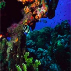 D9-05-2002
