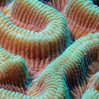 PA102101