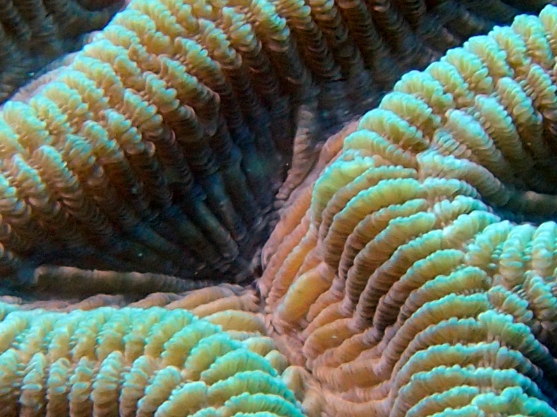 PA102102