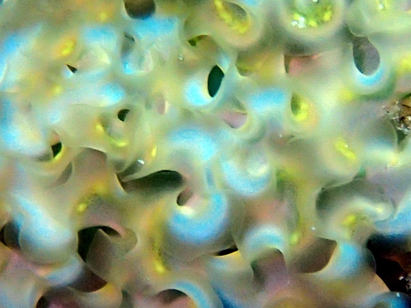 PA102152