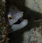 PA122542.JPG