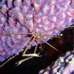 PA163220.JPG