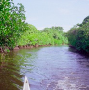 Yap Channel 3