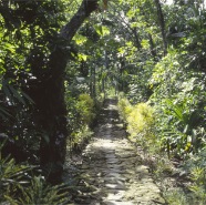 stone path 1