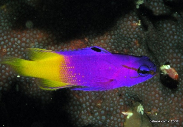 page18-1001-full