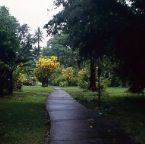 page2-1011-full.jpg