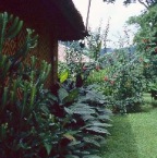 page2-1018-full.jpg