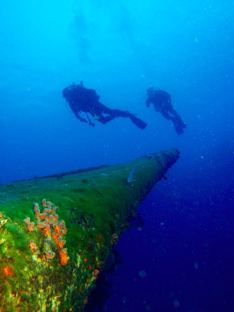Loading Image