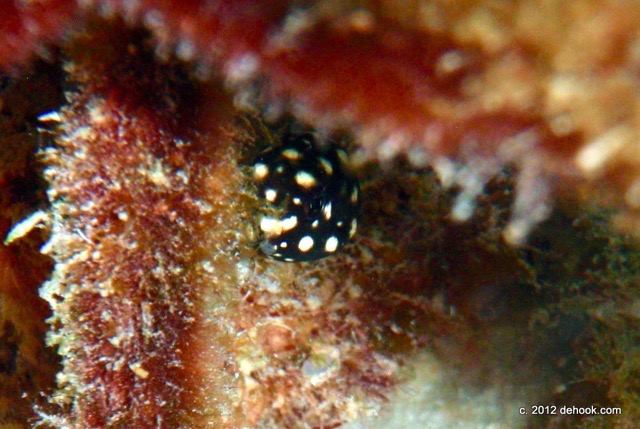 page21-1002-full