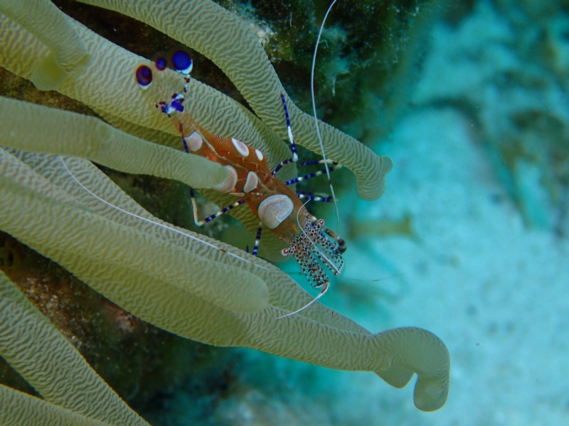 PA082621