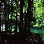 page6-1007-full.jpg