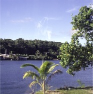 page7-1039-full.jpg
