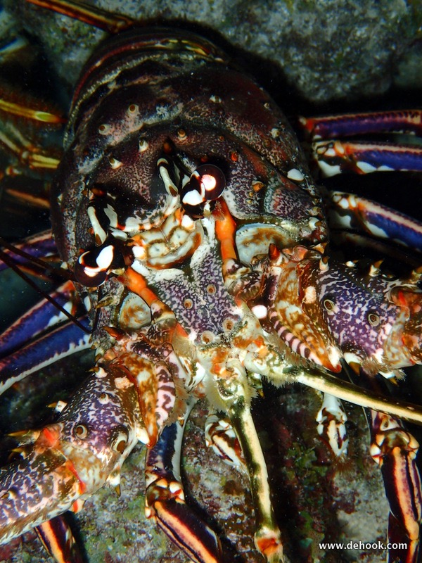 PA093815.JPG