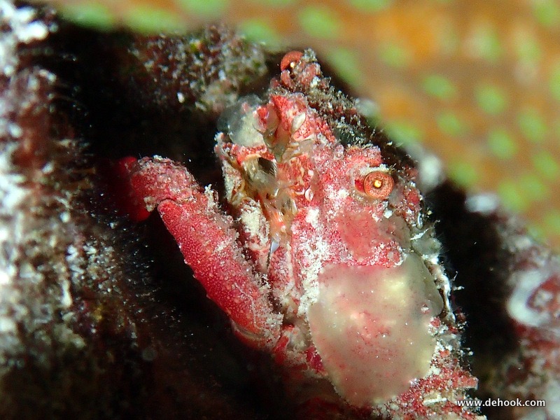 PA093831.JPG