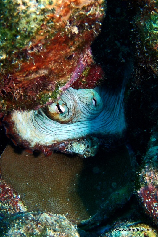 PA100288.JPG