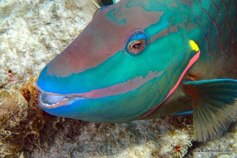 PA100317.JPG