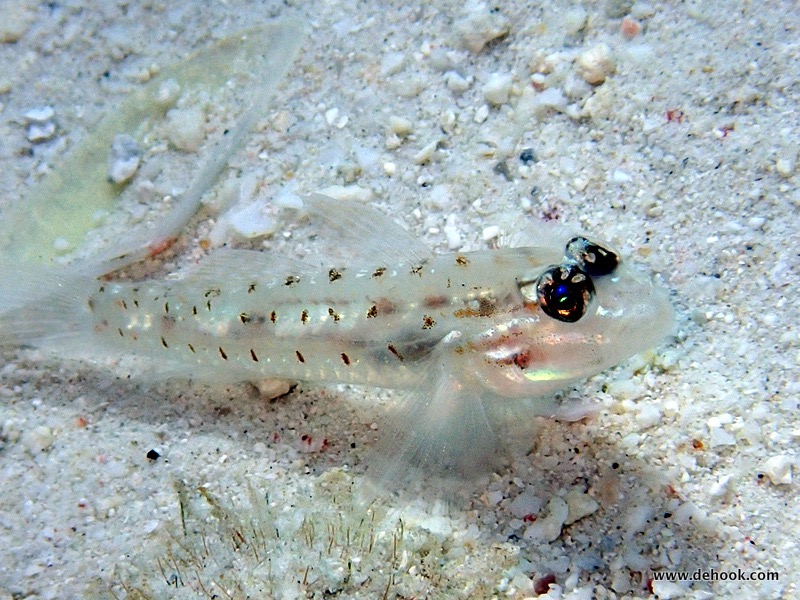 PA103845.JPG