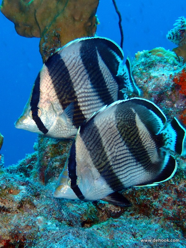 PA103855.JPG