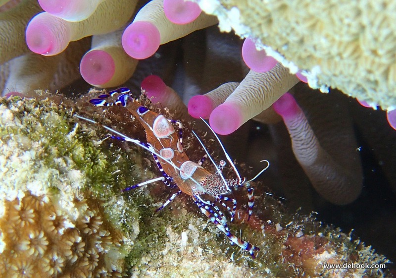 PA110326.JPG