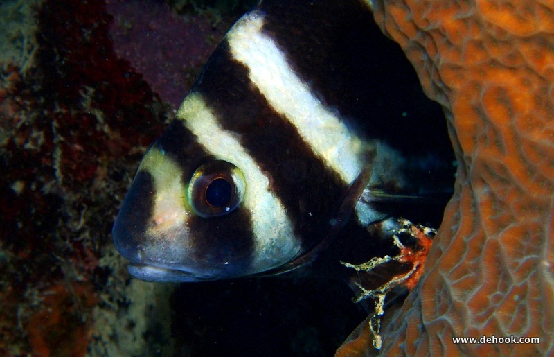 PA110349.JPG