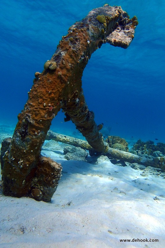 PA110369.JPG