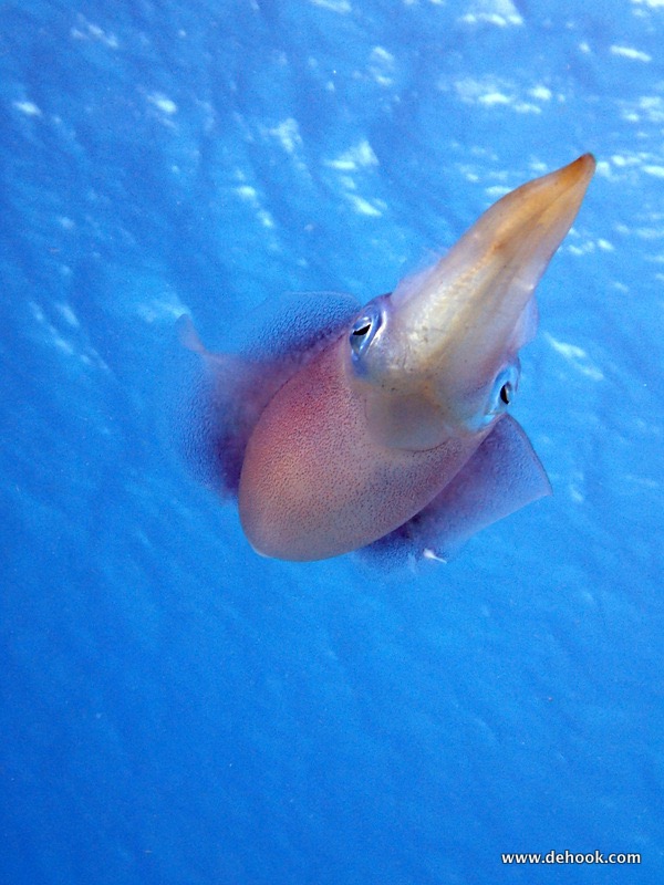 PA114067.JPG