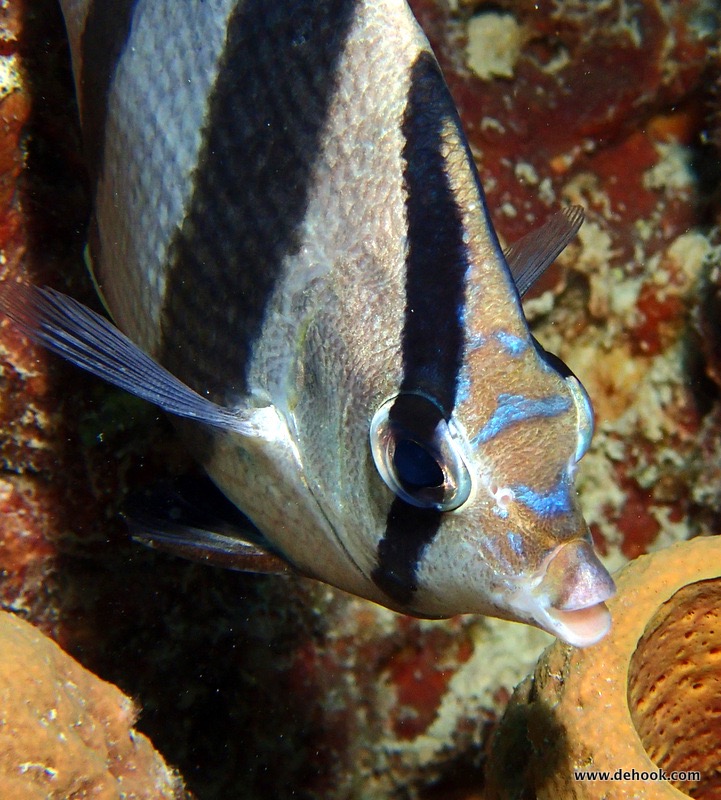PA120420.JPG
