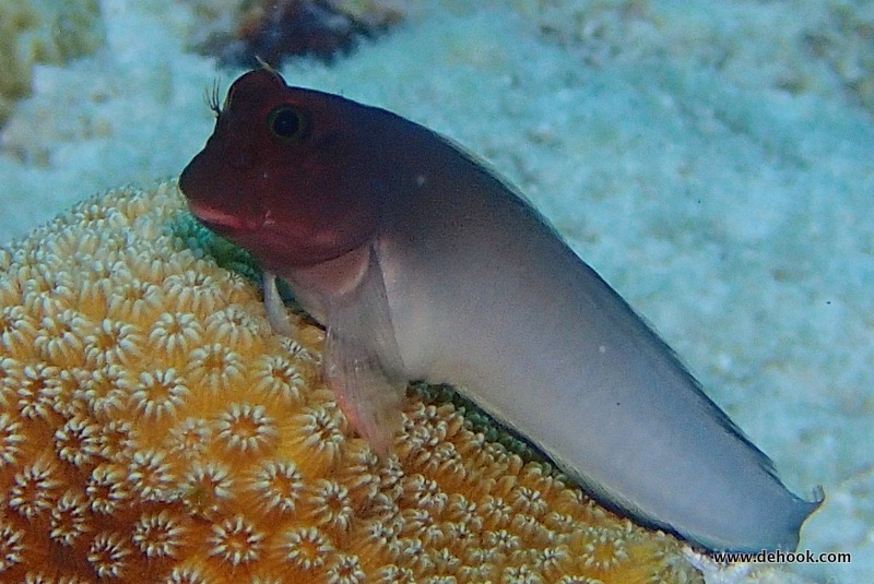 PA120428.JPG