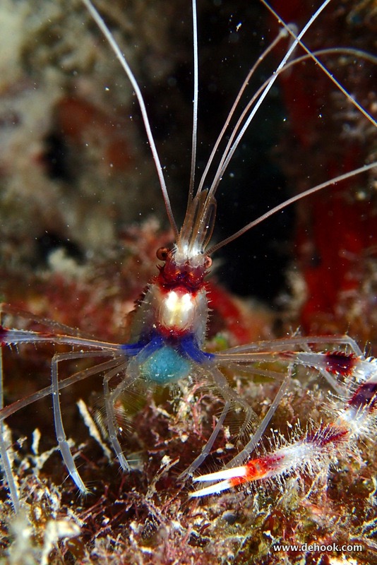 PA150620.JPG