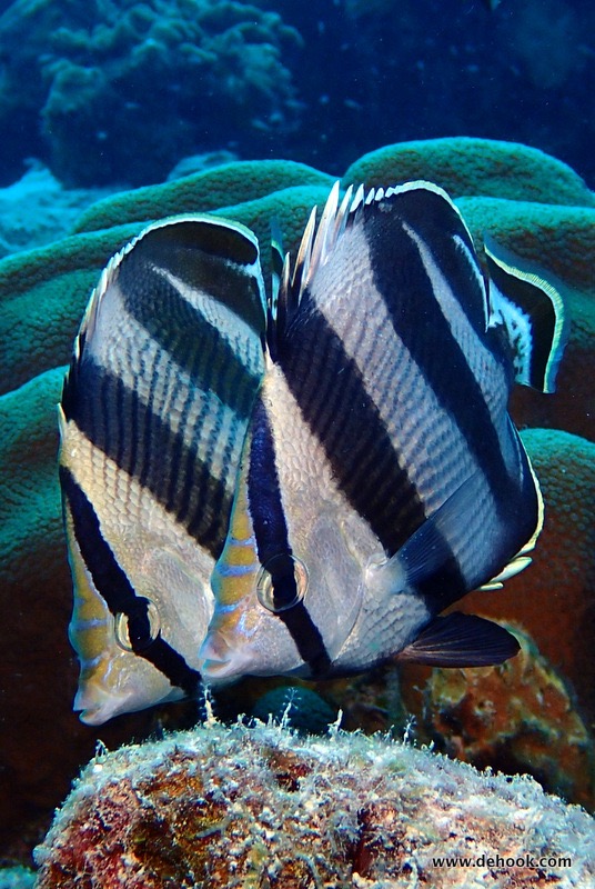 PA160667.JPG