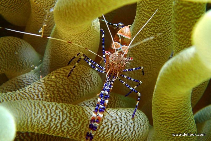 PA211120.JPG