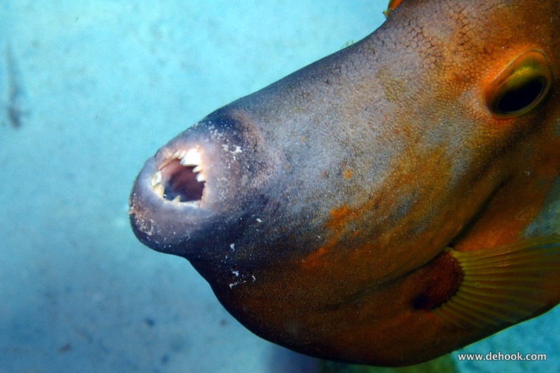 PA090190-001.JPG