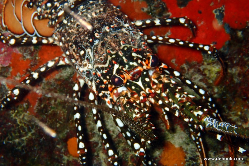PA100233.JPG