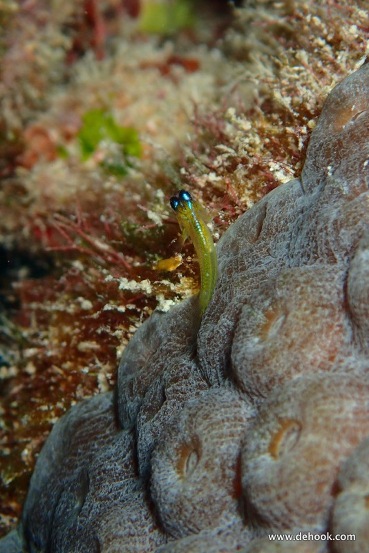 PA100256.JPG