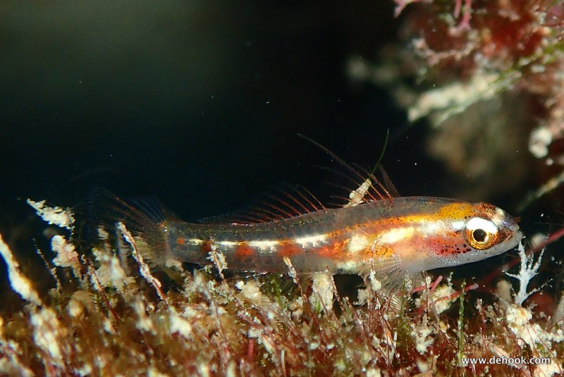 PA100257.JPG