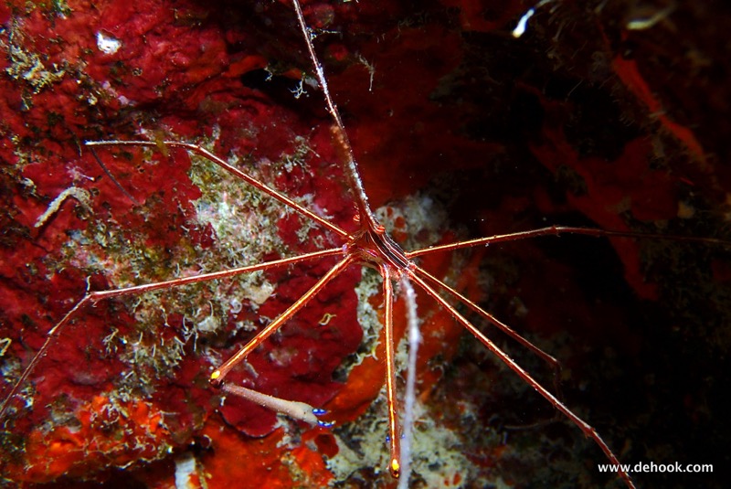 PA100293.JPG