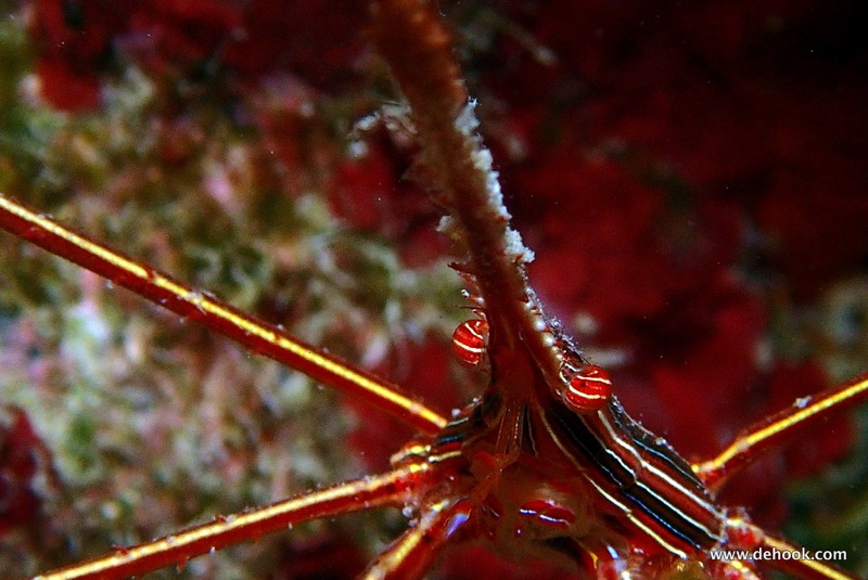 PA100296.JPG
