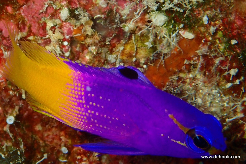 PA110373.JPG