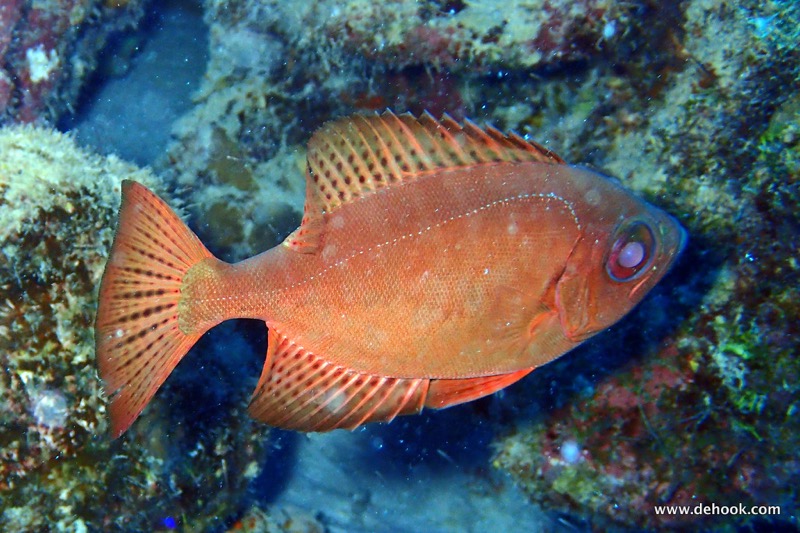 PA110385.JPG